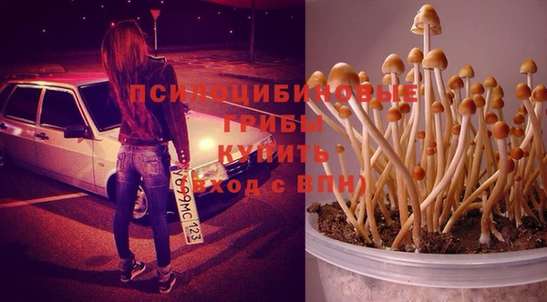 COCAINE Анива