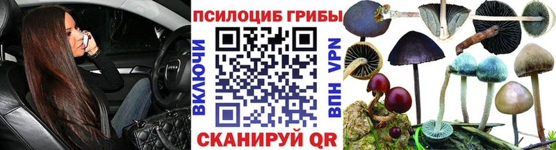 где найти наркотики  Верхоянск  Галлюциногенные грибы мицелий 